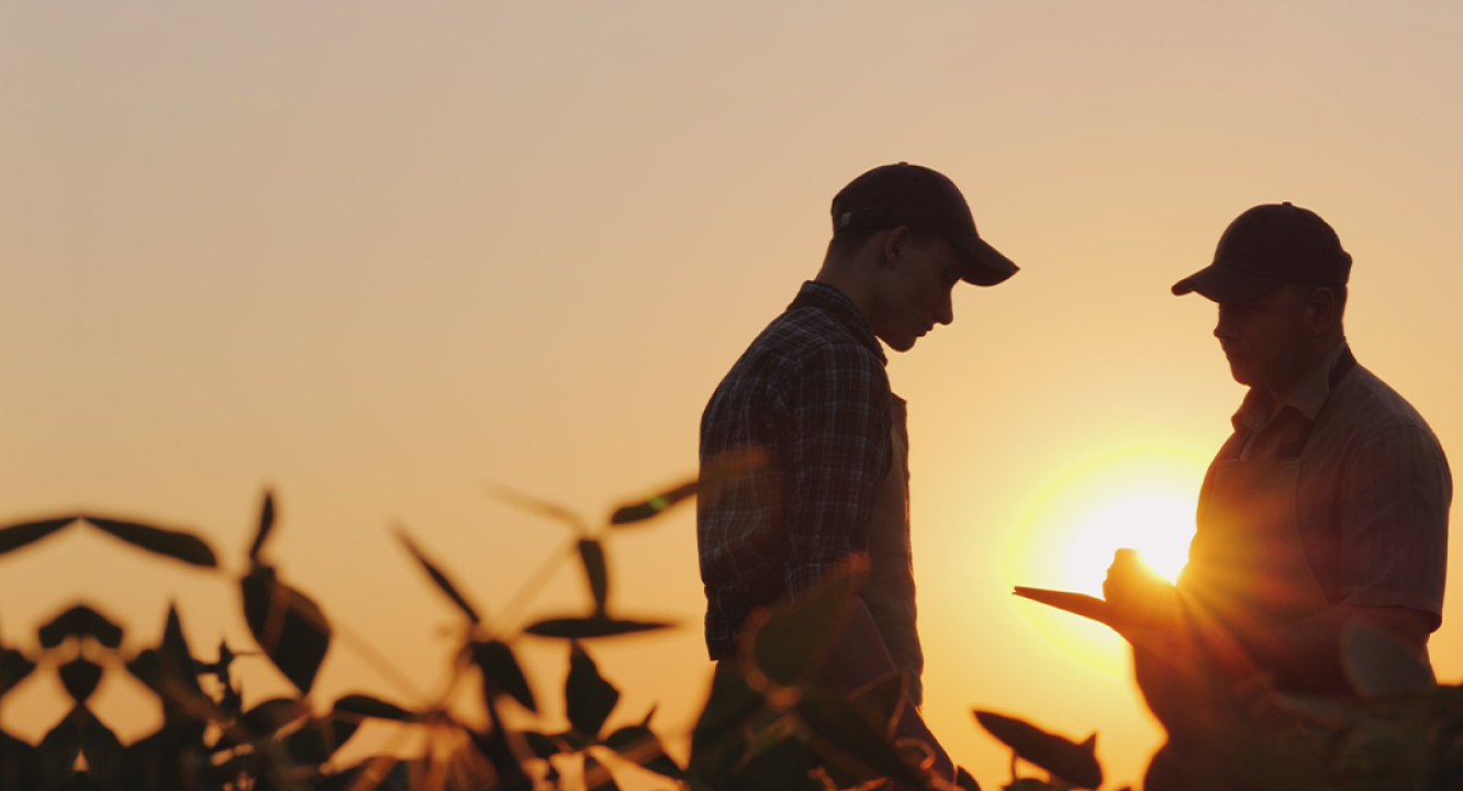 Image showcasing Case Study: How three rural cooperatives are deploying fiber faster
